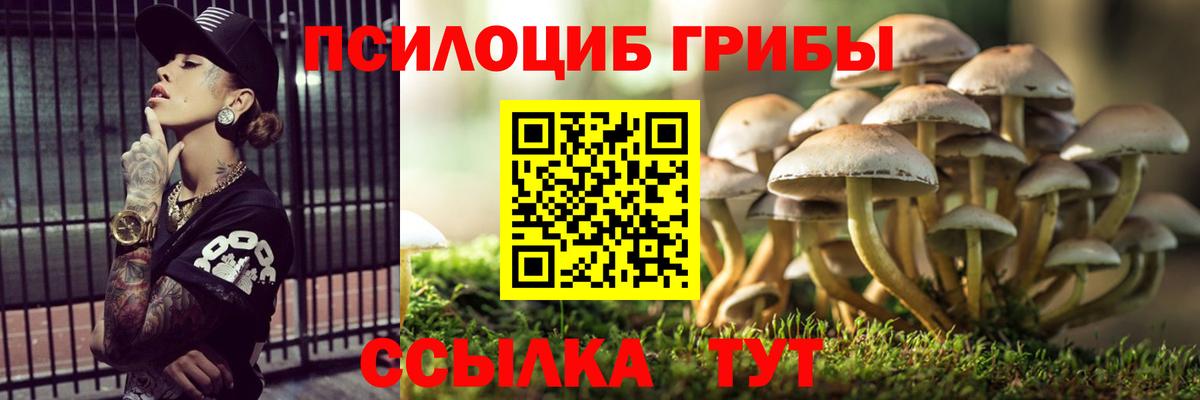 Галлюциногенные грибы Magic Shrooms  Вход с VPN  Луга 
